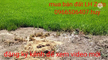bán 4300m đất mặt tiền quốc lộ N2 ngan 59m x 85m giá bán 5tỷ hết đất đất huyện Tân thạnh