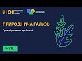 5 клас. Природознавство. Всесвіт та його складові