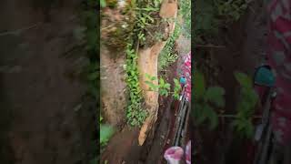 Una Batalla mas ennlos Rincones de El Salvador