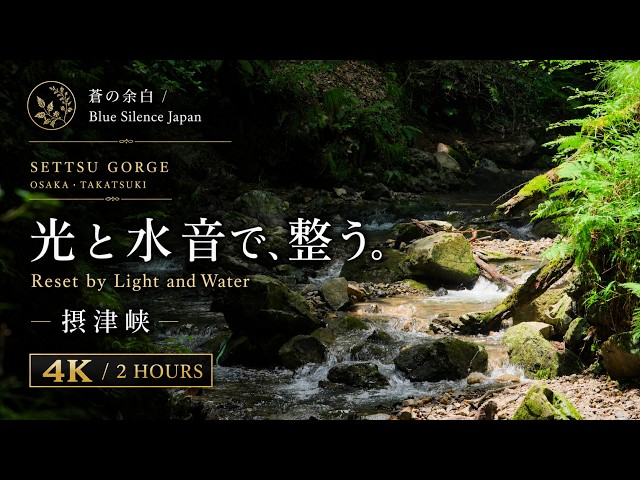 思考をほどく、森の水音。｜作業・読書・リラックスに - YouTube