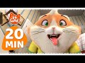 44 Gatos | 20 MINUTOS com Almôndega!