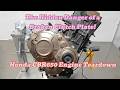 The Hidden Danger of a Broken Clutch Plate! | Honda CBR650 Engine Teardown