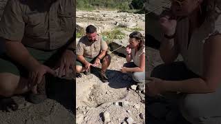 Dino tracks at Dinosaur Valley State Park!