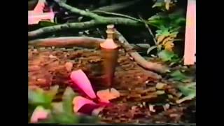 The Alaska Pipeline - Part 1