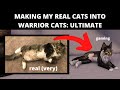 I made my real cats into Warrior Cats Ultimate