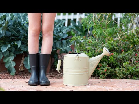 Video: Grădinărit fără deșeuri: folosirea fiecărei părți a unei plante din grădină