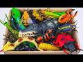 125 Mins ZURU Robo Alive Insects ASMR 🦎 Crocodile, Snake, Scopion, Lizard, Bee | Review Toys Video