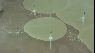 Self Leveling Şap - Lazer Nivo Ölçüm Terazi Zemin Tesviye Civalı Şap 0212 596 65 12