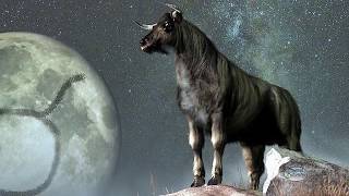 Top 10 Shocking Facts About Taurus | Connect The Dots