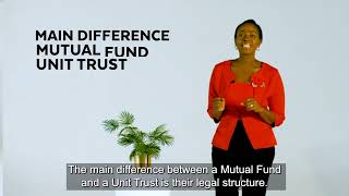 Understanding Collective Investment Schemes: Mutual Funds, Unit Trusts & REITs Explained