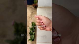 Spa day! Dia de autocuidado 🧘🏻‍♀️💐✨🤍 #spaday #vlog #autocuidado #umdiacomigo #lifestyle