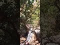 Deep Under Falls#falls#deepfalls#underfalls#ytshorts#viral