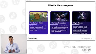 Taming Data Estate Chaos for AI with Hammerspace