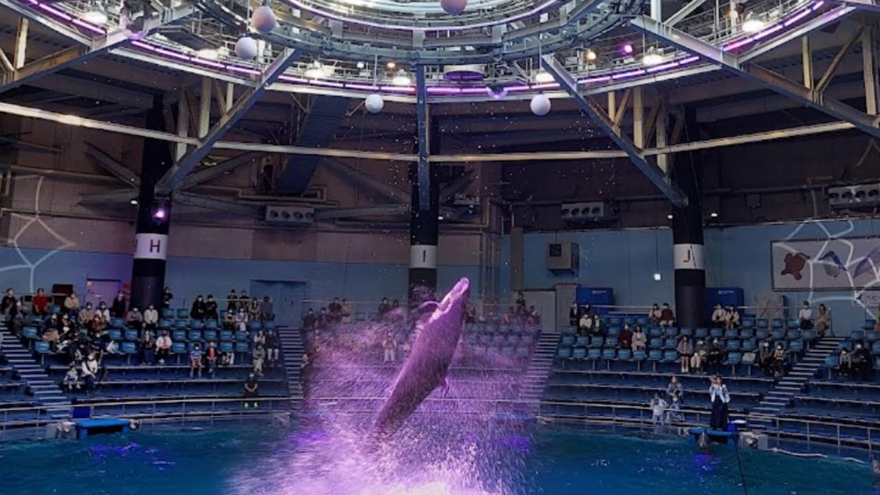 マクセル　アクアパーク品川　