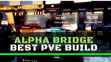 The Division | Alpha Bridge PvE Build (High DPS)