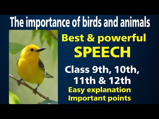 Best Speech on Importance of Birds and Animal | English Speech on  Importance of Birds and Animal | - YouTube