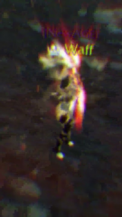 www.youtube.com