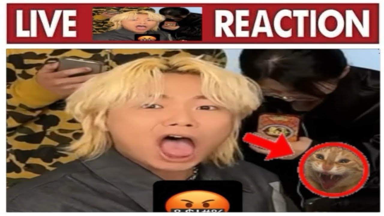 Hiss just a baby😍🤌🏻