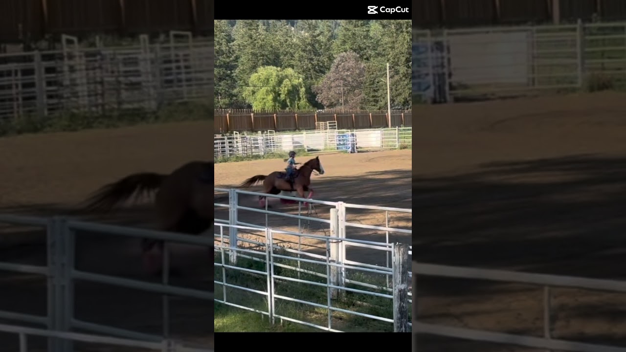 Yasss had a rodeo today and I rode chromeeee he was the best and I got a 19.8somthing!!