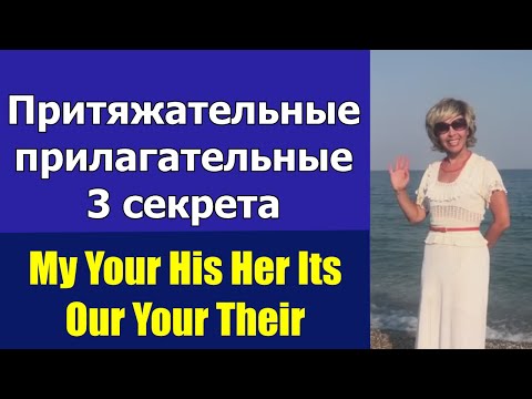 Притяжательные прилагательные в английском языке Possessive Adjectives