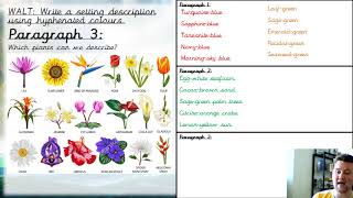 Lesson 2 - Moana Creative Writing