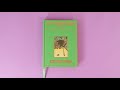 Aesop's Fables