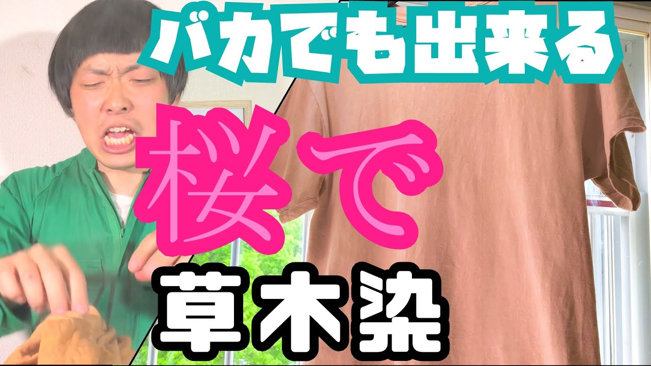 簡単】草木染め 桜～初心者のバカでもできた～ - YouTube