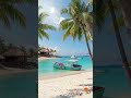 Beach Paradise | Seaside Relaxing Ambiences | Bossa Nova Music #beach #nature #calm #relax