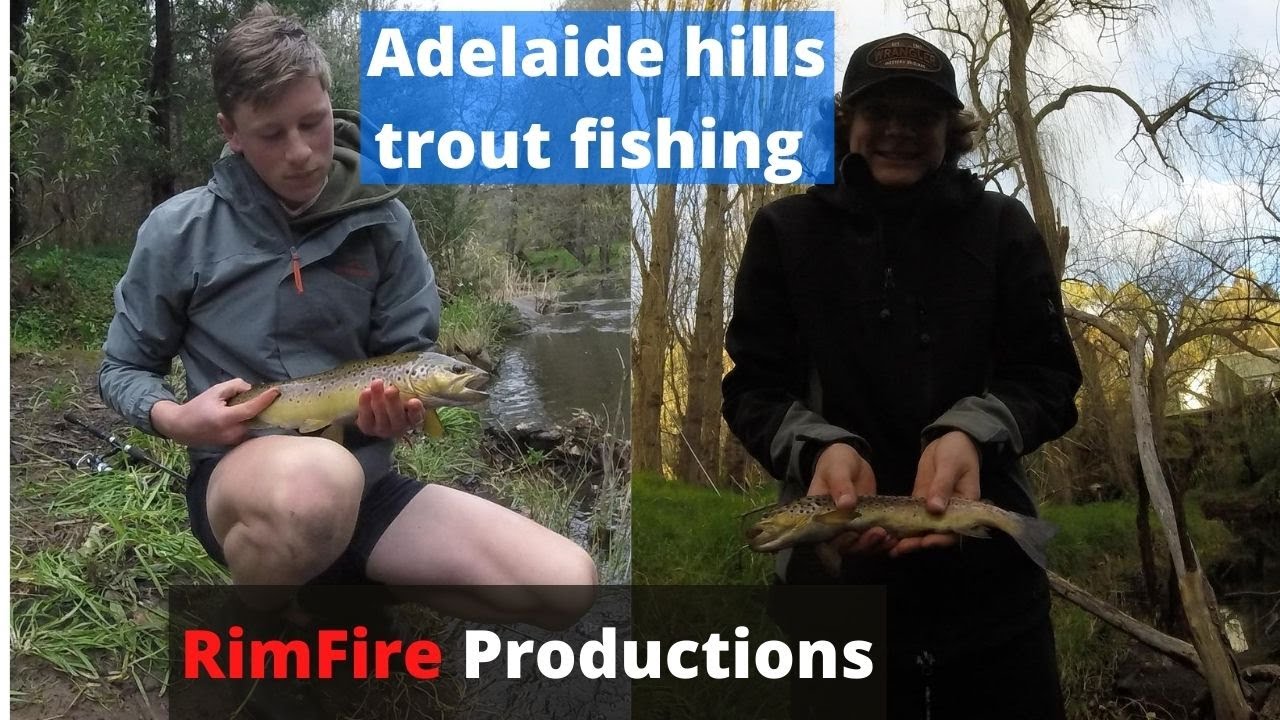 RimFire Productions Adelaide Hills Trout Fishing YouTube