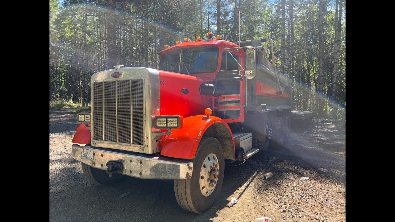 Curated visual reference: Picture Idea: The Perfect Dump Truck