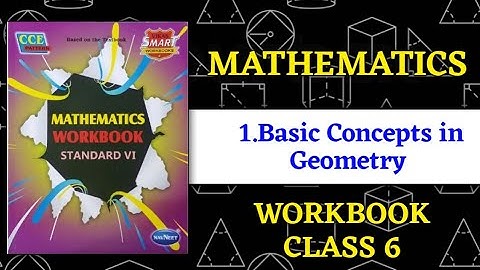 1. Basisbegrippen in meetkunde klas 6 Wiskunde werkboek antwoord || klas 6 wiskunde werkboek