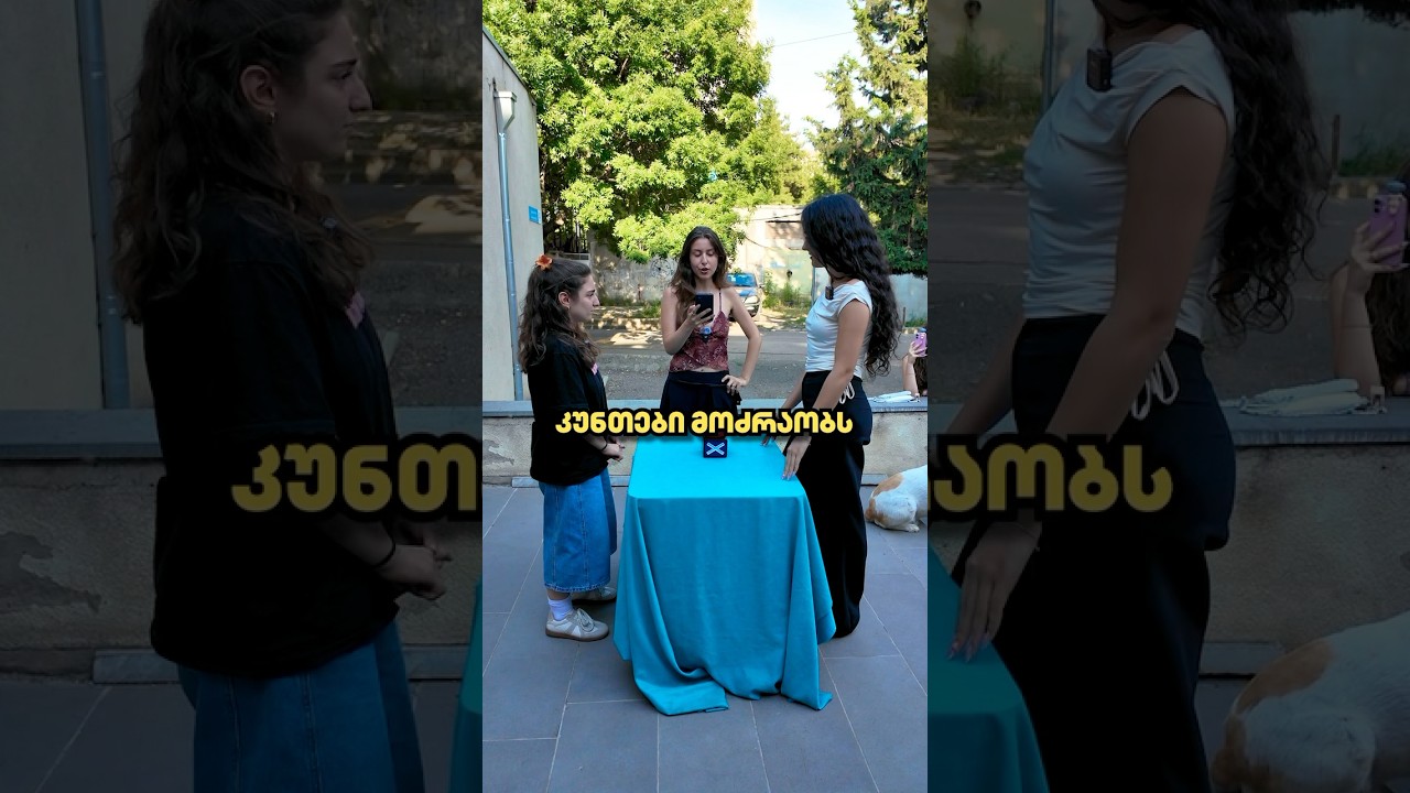 შენ რამდენ კითხვაზე უპასუხებდი? 🧬 #22გრადუსი #საჩუქარი #ეროვნულები #გართობა