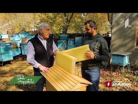 #ფერმა სოფლის მაშენებლები ბორჯომიდან - შემოქმედებითი მიდგომა ბიზნესისა და ტრადიციული საქმისადმი