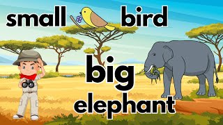 Big and Small || Tall and Short || Animals for Kids || Math for kids || Vocabulary for Kids