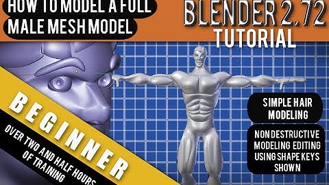 How To Model A Full 3d Human Male Mesh in Blender 2.72b