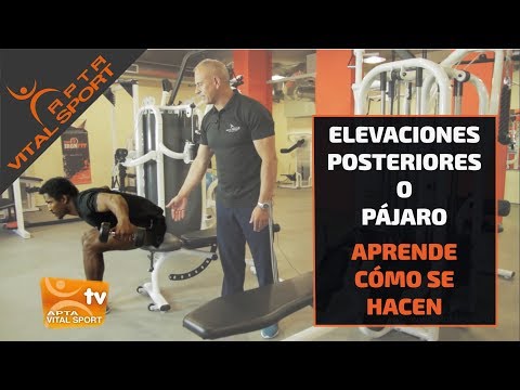 Video: Pájaros De Entrenamiento De Hombro