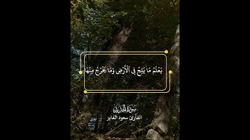 تلاوة جميلة بصوت القارئ سعود الفايز  #سبح_لله_ما_في_السموات_والأرض  #قران #سعود_الفايز  #fypシ゚viral