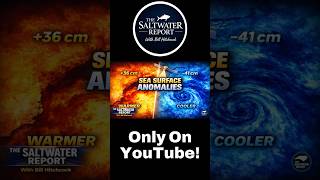 Ocean Temperature Shifts Nobody Talks About #oceanfacts #science #shorts
