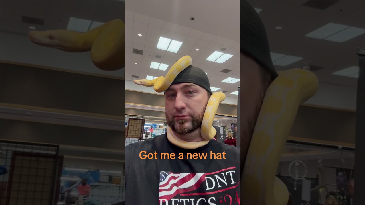 New pickup from TJ over at TJ&rsquo;s Constrictors #retic #reticulatedpython #big #bigsnake