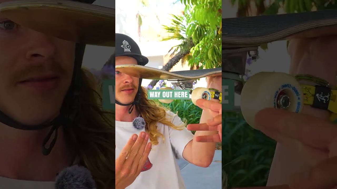 Учим Митчи!