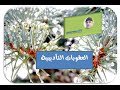 العقوبات التأديبية في الوظيفة العمومية