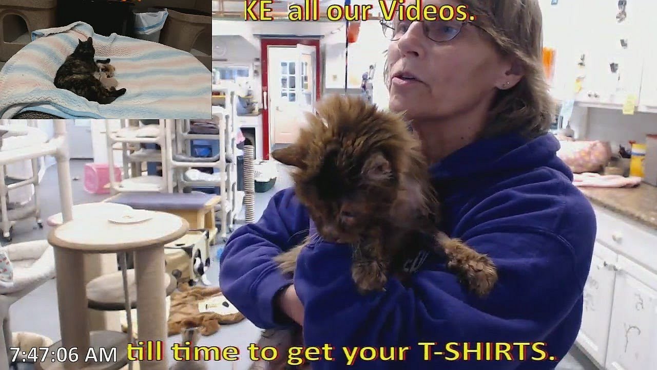 04/26/2019 Boaz & Mowgli to the vet YouTube