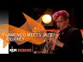 Ndr bigband feat elva y toms journey  flamenco meets jazz  ndr
