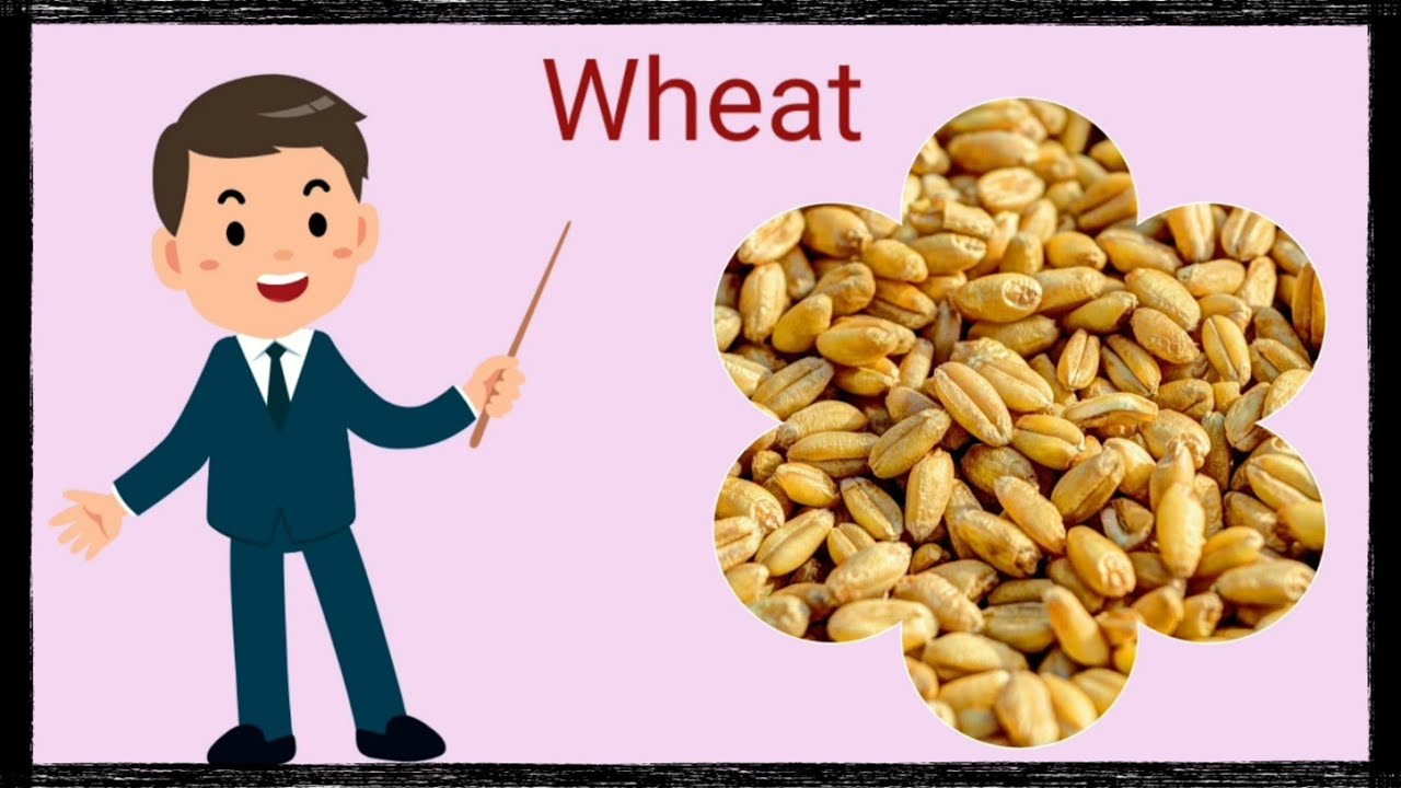 Learning Cereal Names In English || Types Of Cereals || Fun Learning