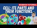 Parts and functions of a cell science 7 quarter 2 module 3
