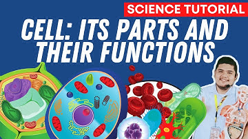 PARTS AND FUNCTIONS OF A CELL SCIENCE 7 QUARTER 2 MODULE 3