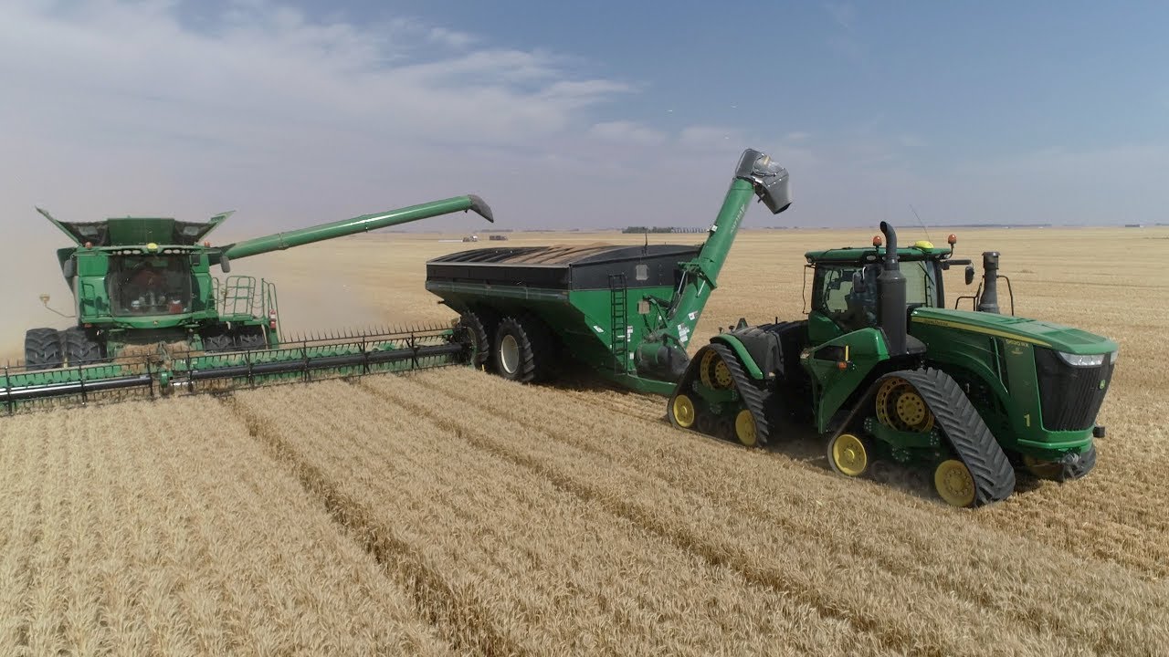 Harvest 2018 | 4K | Canada