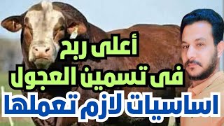 هل مشروع تسمين العجول مربح فى ظل الغلاء الاسعار ام لا Calves fattening project