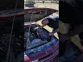 This Farm-Find Commodore is a Proper Mystery! #beyondtheredline #projectcar #holdencommodore