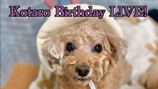 虎太郎9歳誕生日LIVE🎉
